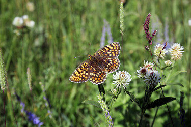 Similar image 126274