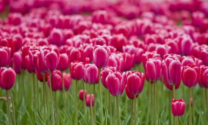 Similar image 126279