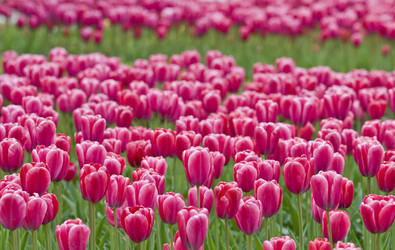 Similar image 126321