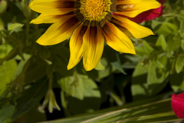 Similar image 126360