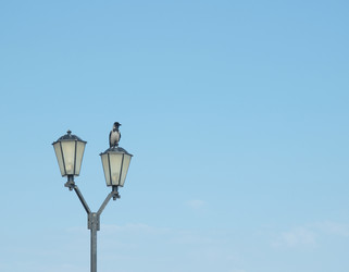 Similar image 126453