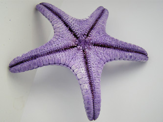 Similar image 126454