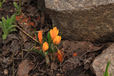 Similar image 126457