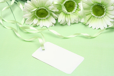 Similar image 126458