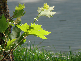 Similar image 126479