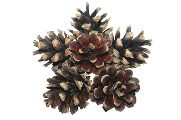 Similar image 126497