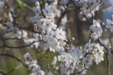 Similar image 126498