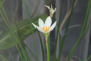 Similar image 126499