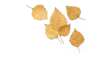 Similar image 126503