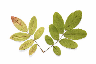 Similar image 126506