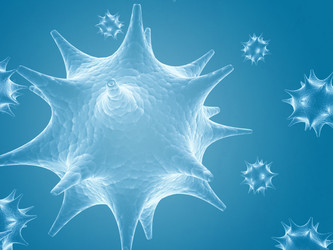 Similar image 126511