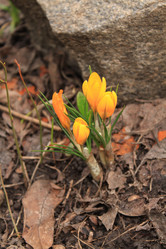 Similar image 126522