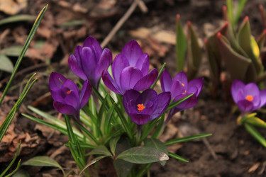 Similar image 126524