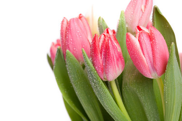 Similar image 126543