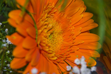 Similar image 126602