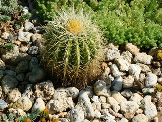 Similar image 126635