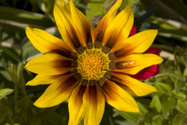 Similar image 126649