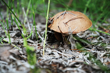 Similar image 126705