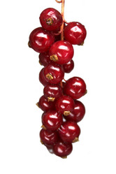 Similar image 126707