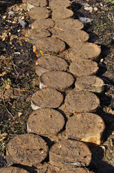 Similar image 126713