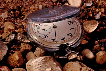 Similar image 126772