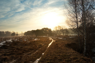 Similar image 126796