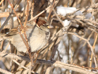 Similar image 126809