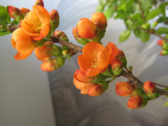 Similar image 126821