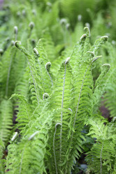 Similar image 126835