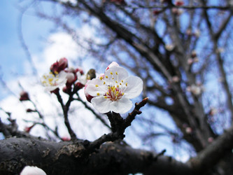 Similar image 126841