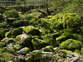 Similar image 126860