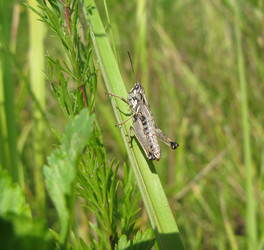 Similar image 126881