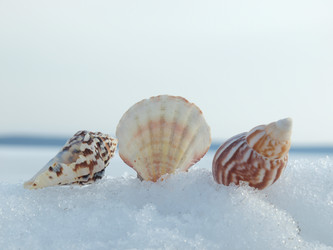 Similar image 126891