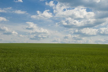 Similar image 126931