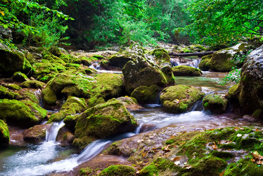 Similar image 126978