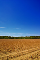 Similar image 126990