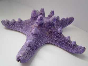 Similar image 127005