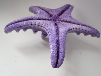 Similar image 127006