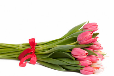 Similar image 127013