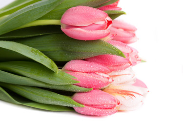 Similar image 127015