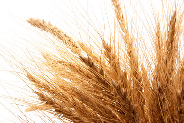 Similar image 127022