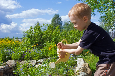 Similar image 127031