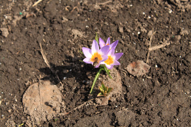 Similar image 127046