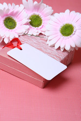 Similar image 127078