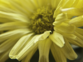 Similar image 127080