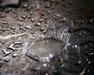 Similar image 127093