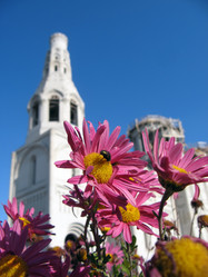 Similar image 127100