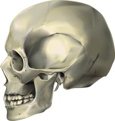 Similar image 127127