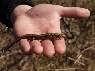 Similar image 127133