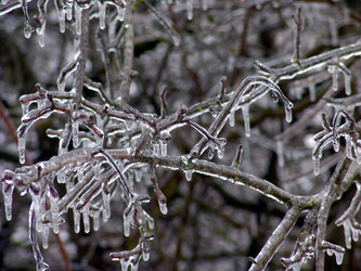 Similar image 127157